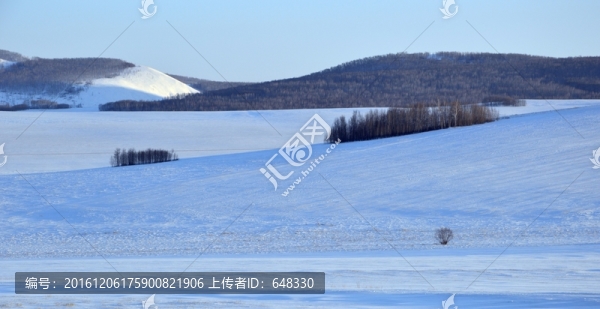 樹林