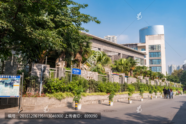 成都街景