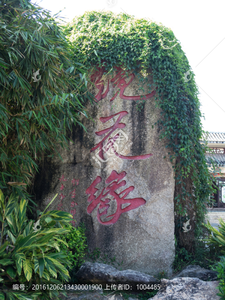 鏡花緣