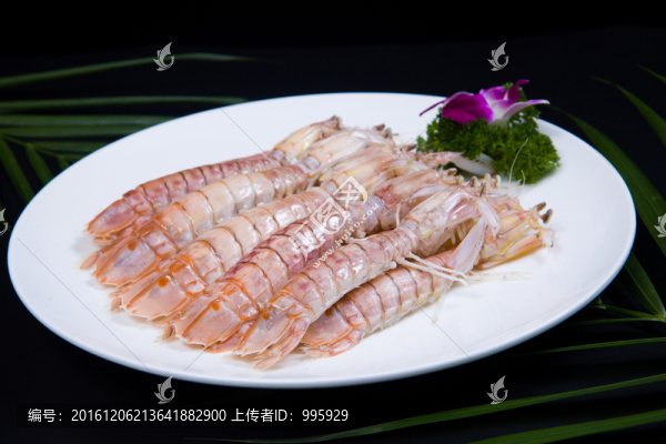 白灼蝦蛄,（4）