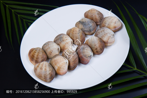花甲王,（2）