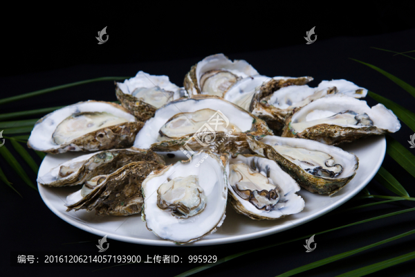 生蠔,（1）