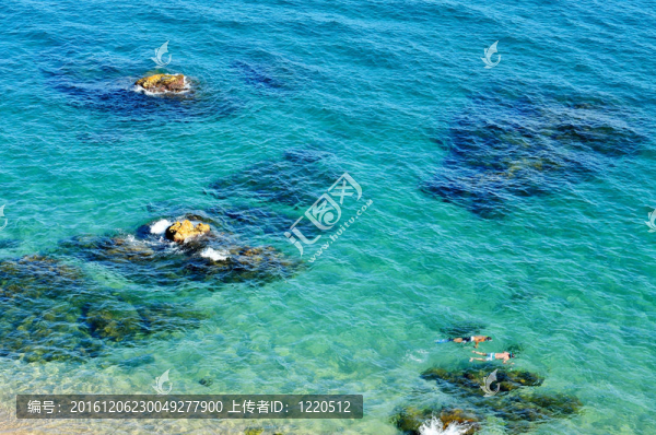在熱帶海灘潛水