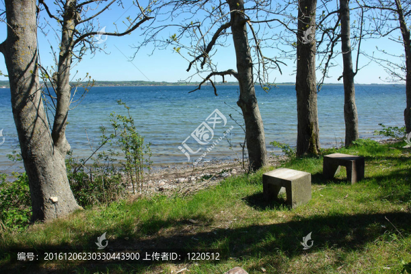 從海岸美麗的海景