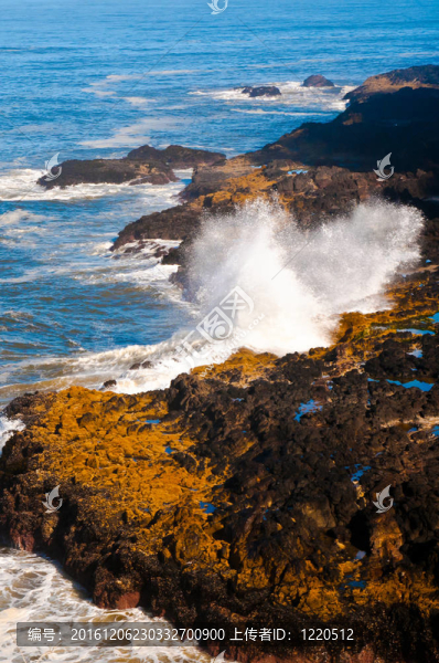 波浪沖擊俄勒岡巖石海岸線