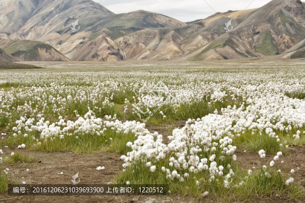 Landmannalaugar（冰島）