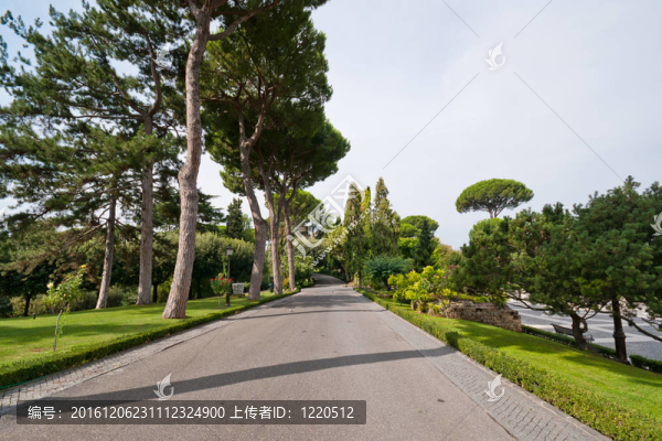 在梵蒂岡花園散步