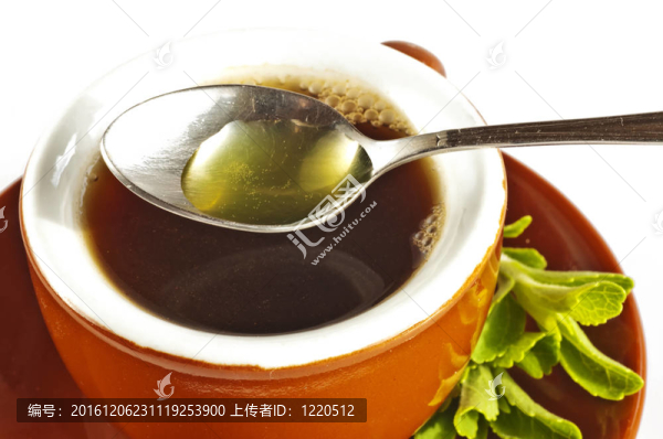甜菊糖；支持