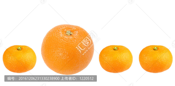 橙色和Tangerine夜店行