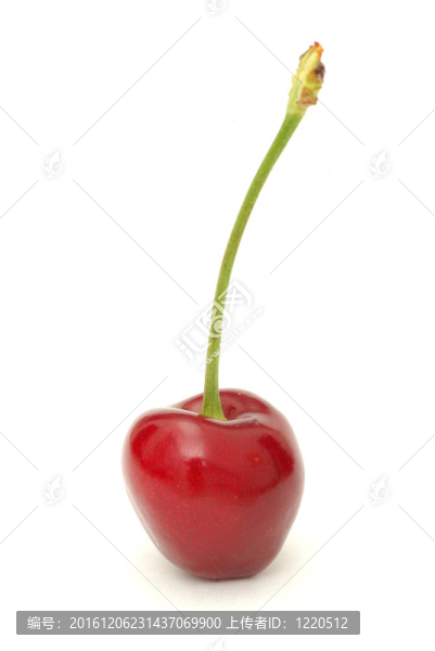櫻桃