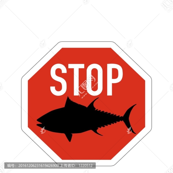 站牌金槍魚