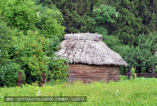 古代傳統(tǒng)烏克蘭農(nóng)村谷倉用稻草屋頂