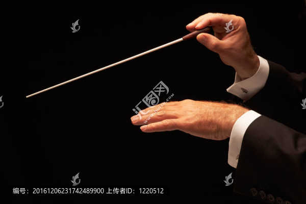 指揮管弦樂(lè)隊(duì)的指揮