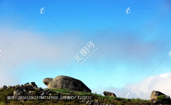 海龜自然雕塑；Castro,Laboreiro；葡萄牙。