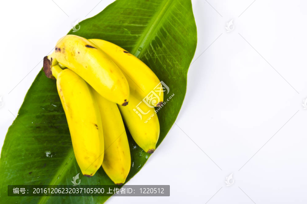 香蕉香蕉片
