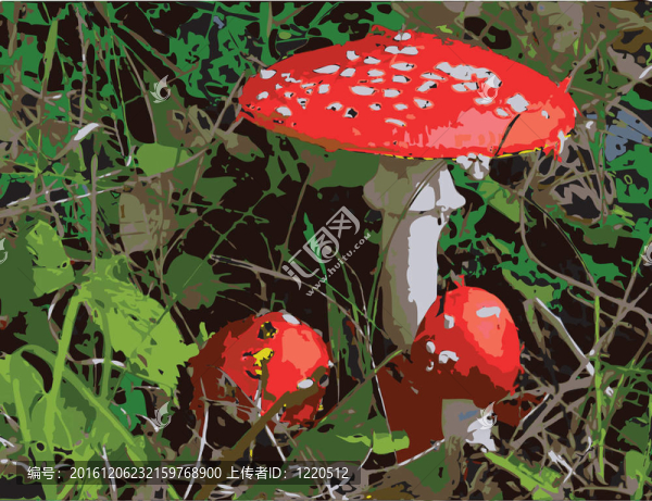 鵝膏菌