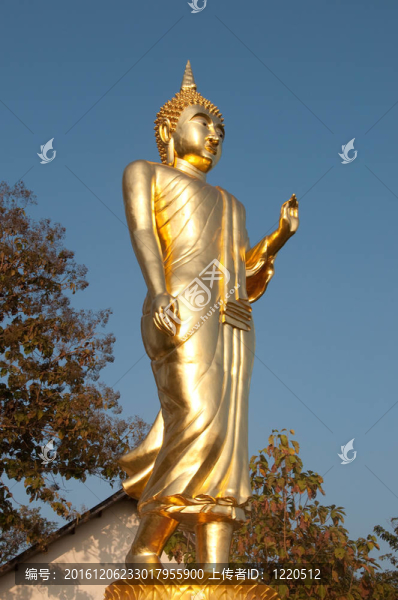 美麗的金色佛像在北部；泰國。