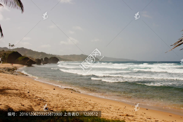 熱帶海灘和粗糙的海浪
