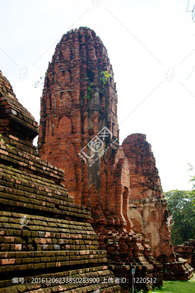 在Wat,chaiwattanaram寺塔；Ayutthaya；泰國