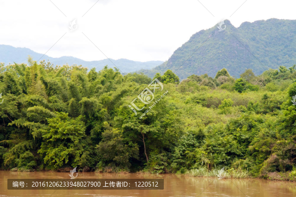 叢林河流；泰國