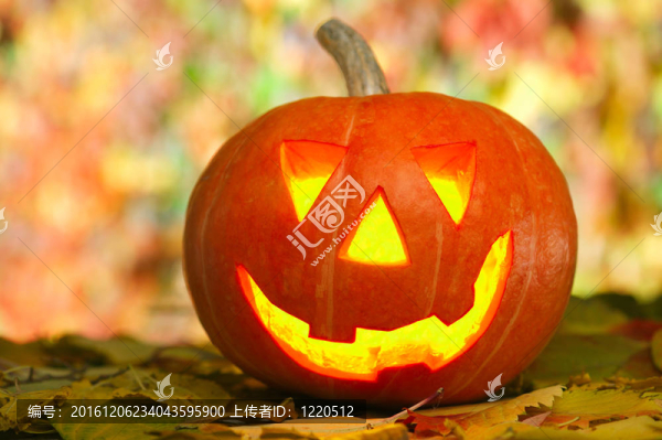 快樂Jack,O,Lantern