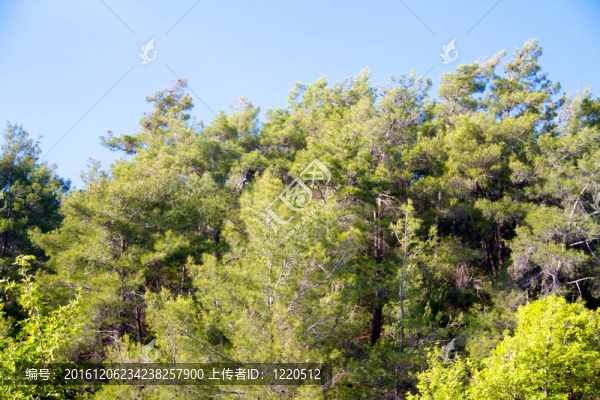 希臘的高山和巖石羅德