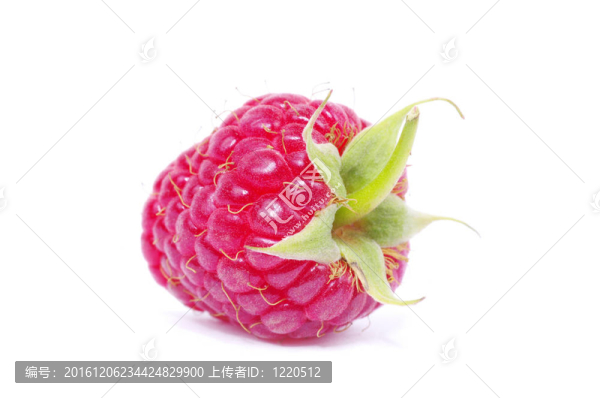 覆盆子