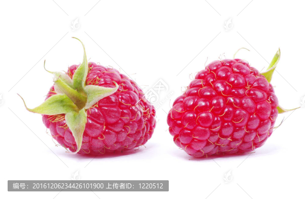 覆盆子