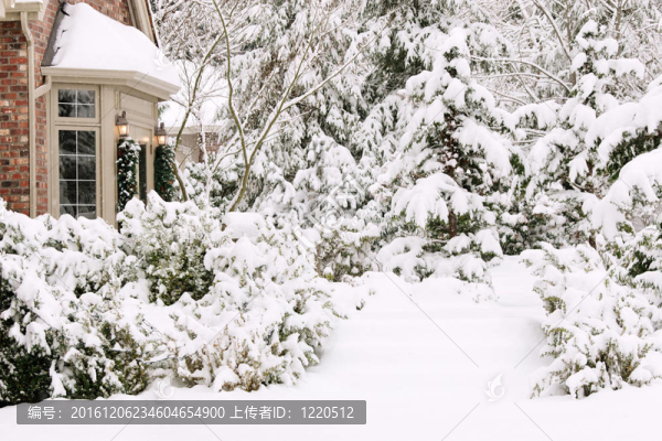 讓它下雪