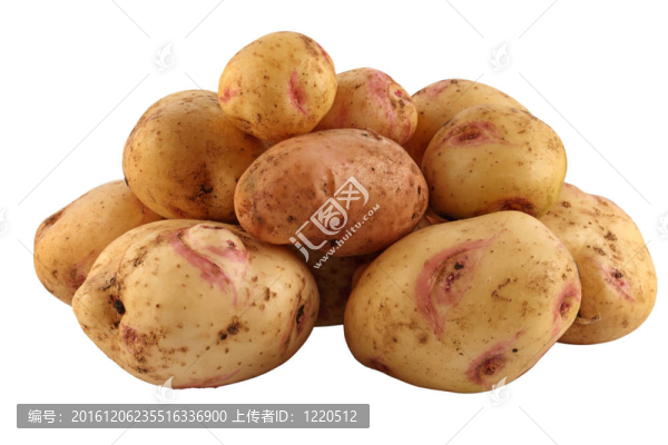 馬鈴薯。