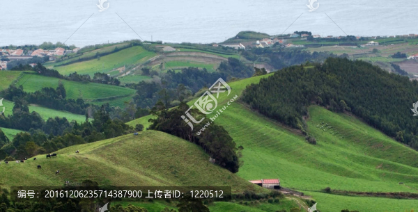 在亞速爾群島沿海風(fēng)景