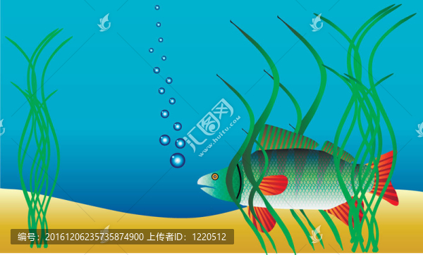 水下景觀——棲息在雜草中的鱸魚