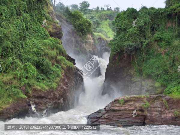 田園詩般的Murchison,Falls