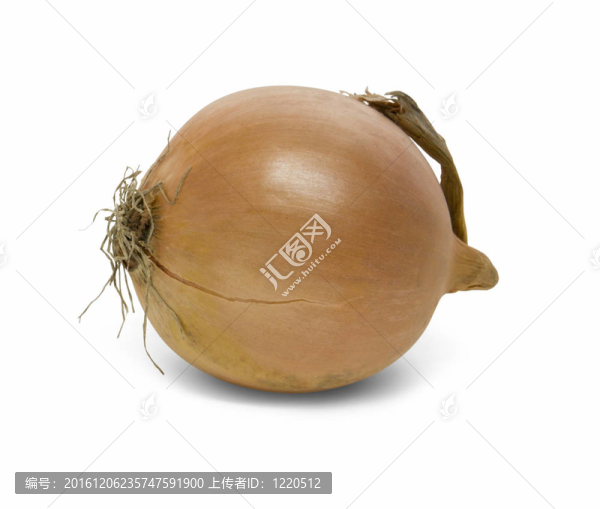 洋蔥