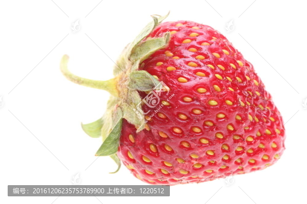 白色背景草莓
