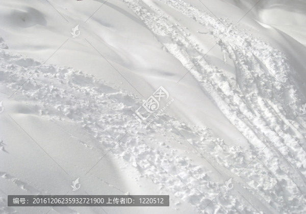 雪中的痕跡