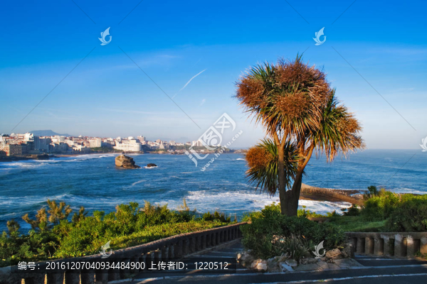 海洋