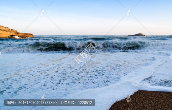 海洋