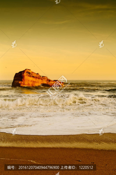 海洋