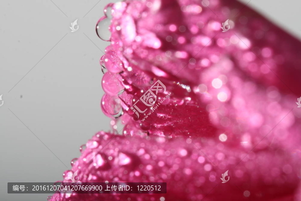露水