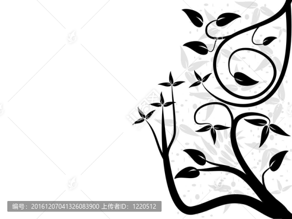 抽象的黑白花藝設(shè)計(jì)