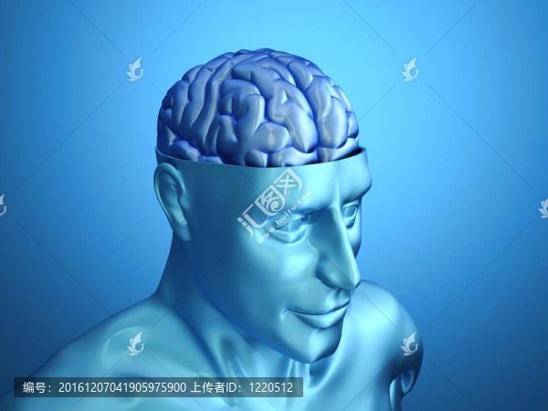 腦