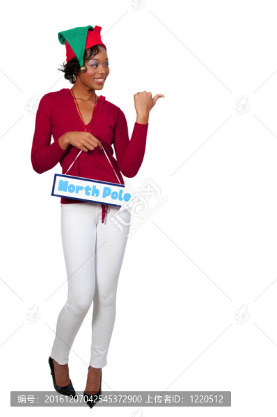 美麗的黑女人精靈
