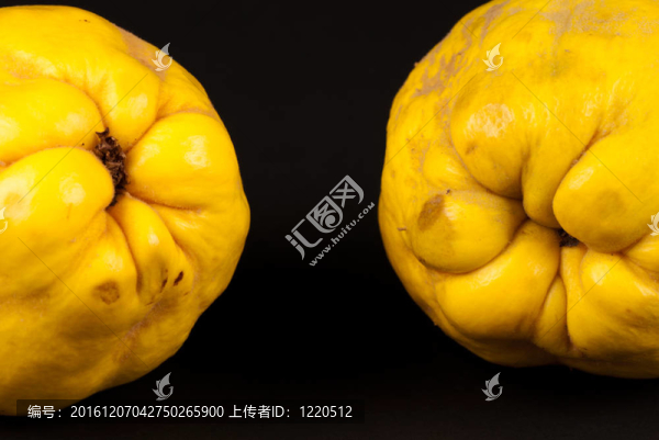 溫柏