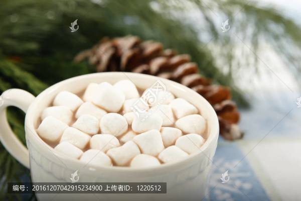 棉花糖熱巧克力可可