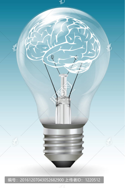 電燈泡腦