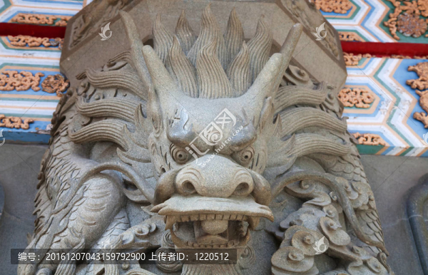 龍