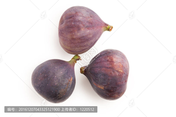 白底果