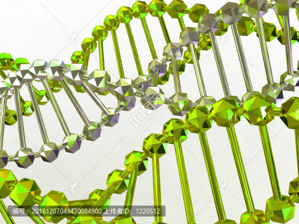 基因在DNA