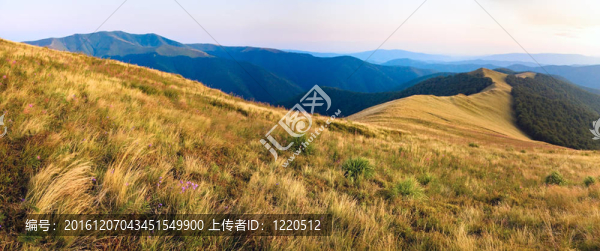 秋天的山全景